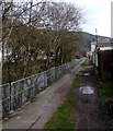 Path on the south bank of the Rhondda River, Treorchy