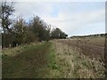 Bridleway towards Hips Heugh