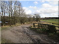 Access track to ponds near Newlands Farm