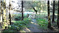 Footbridge at Mountain Lodge Church