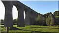 Tassagh Viaduct from Below