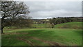 View towards Wayend Street from Locust Coppice