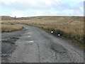 NY9317 : Beware of sheep on Cotherstone Moor by Christine Johnstone