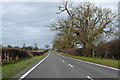 A134 towards Thetford