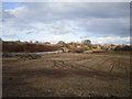 Stubble field and railway embankment