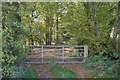 Wooded path off Wissenden Lane