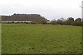 Farmland looking towards Sharpenhoe Clappers