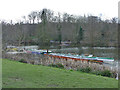 SJ8639 : Trentham Gardens: rowing boats on the lake by Stephen Craven