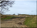 Farmland west of Boxted