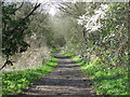 The course of the former Mill Hill East to Edgware railway line west of Sanders Lane