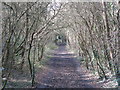 The course of the former Mill Hill East to Edgware railway line between Sanders Lane and Devonshire Road (2)