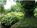 SO3656 : Bog Garden at Westonbury Mill Gardens by Fabian Musto