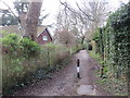 Cabbage Stalk Lane, Tunbridge Wells