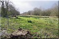 A Boggy Bit Near Boreham