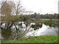 Pond by Aylesbury Road, Mobwell (3)