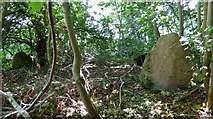 NH9354 : Auldearn prehistoric stone row by Sandy Gerrard