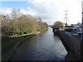 Birmingham Old Main Line Canal, Oldbury