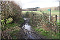 SU6780 : Muddy bridleway to Whitewood Heath from Park Lane by Luke Shaw