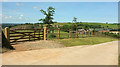 SS7228 : Entrance lane, Burcombe Farm by Derek Harper