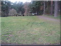 Woodland path and picnic area on outskirts of Nairn