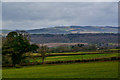 West Bagborough : Grassy Field