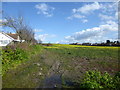 A field at South Tankerton