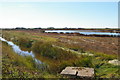TM4349 : Orford Ness: view over grazing marshes towards the pagodas by Christopher Hilton