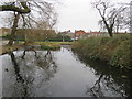 TQ3790 : Pond in Lloyd Park, Walthamstow by Malc McDonald