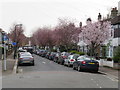 TQ3790 : Spring blossom in Walthamstow by Malc McDonald