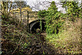 East Side of Stockton Brook Tunnel / Bridge (Disused)