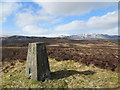 Trig point on Little Hill 348m