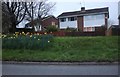 Houses on Goose Green Way, Yate