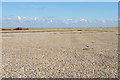 TM4449 : Orford Ness: expanse of ridged shingle by Christopher Hilton