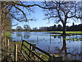 Wet field by Thorpe Road