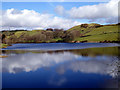 A view across Llyn Frongoch