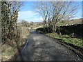 Lane from Hunderthwaite to Wilden Bridge