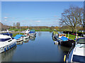 Entrance cut to marina, Chertsey