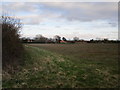 Looking towards Manor Farm, Digby