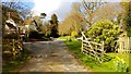 From Routwood bridleway, the road north to Warninglid