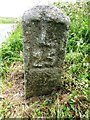 Old Milestone by the B3297, south west of Tregarthen