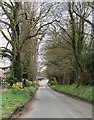 Road into Great Ouseburn