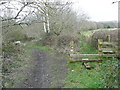 Footpath and Transpennine Trail, Silkstone Common