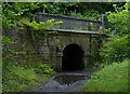 Fife Coastal Path passing under the railway