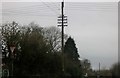 ST8388 : Traditional telegraph pole on Bath Road, Knockdown by David Howard