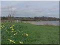 The River Trent near Burton Joyce