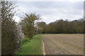 Approaching Tarecroft Wood