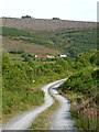 SN8056 : Road and bridleway to Dolgoch in Cwm Tywi, Ceredigion by Roger  D Kidd
