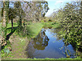 Old fish pond, abbey site, Chertsey