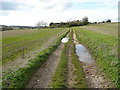 TL2024 : Pools in the ruts on a bridleway, Almshoe, St Ippolyts by Humphrey Bolton