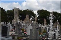 S7237 : St Mullins Cemetery and church by N Chadwick